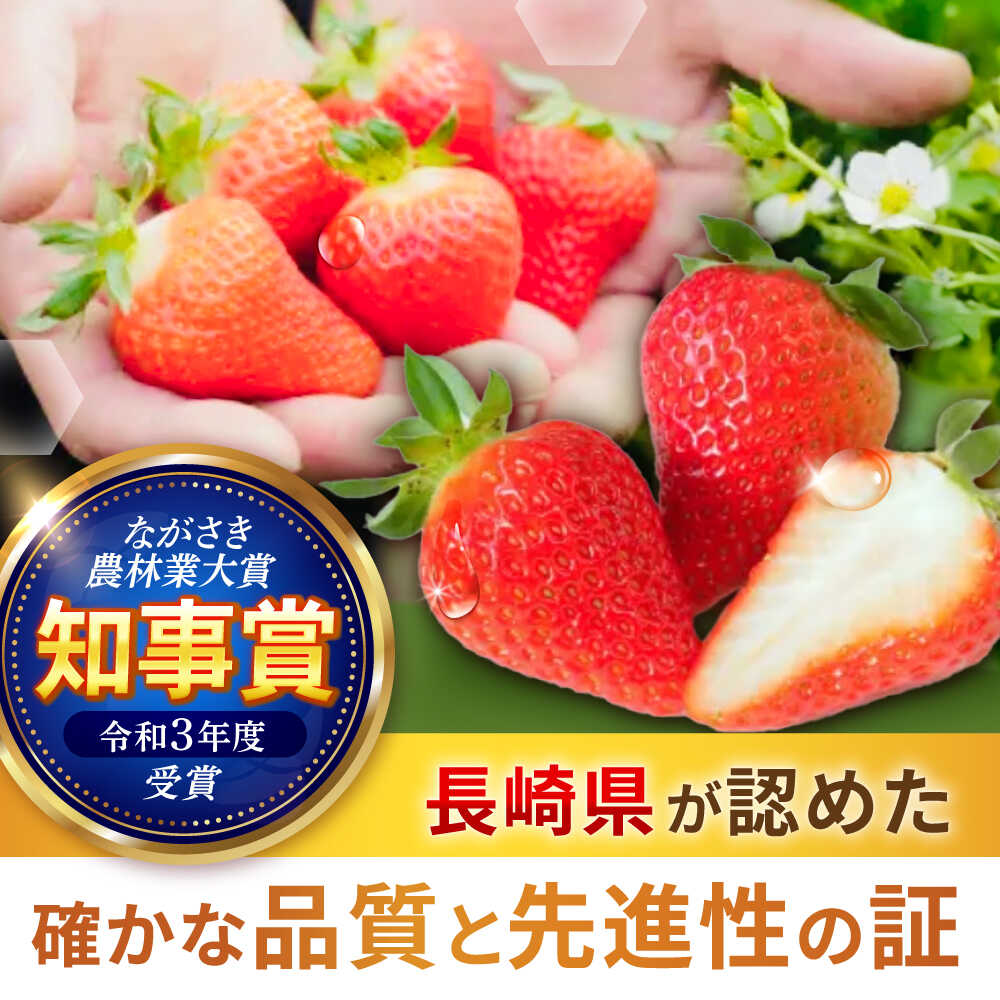 【ふるさと納税】【完熟の恵み、ぎゅっと冷凍！】冷凍いちご「ゆめのか」 Sサイズ 1.5kg(500g×3) / いちご イチゴ 苺 冷凍 冷凍いちご 冷凍フルーツ イチゴジャム / 諫早市 / むらたサービス[AHFA002] サムネイル2