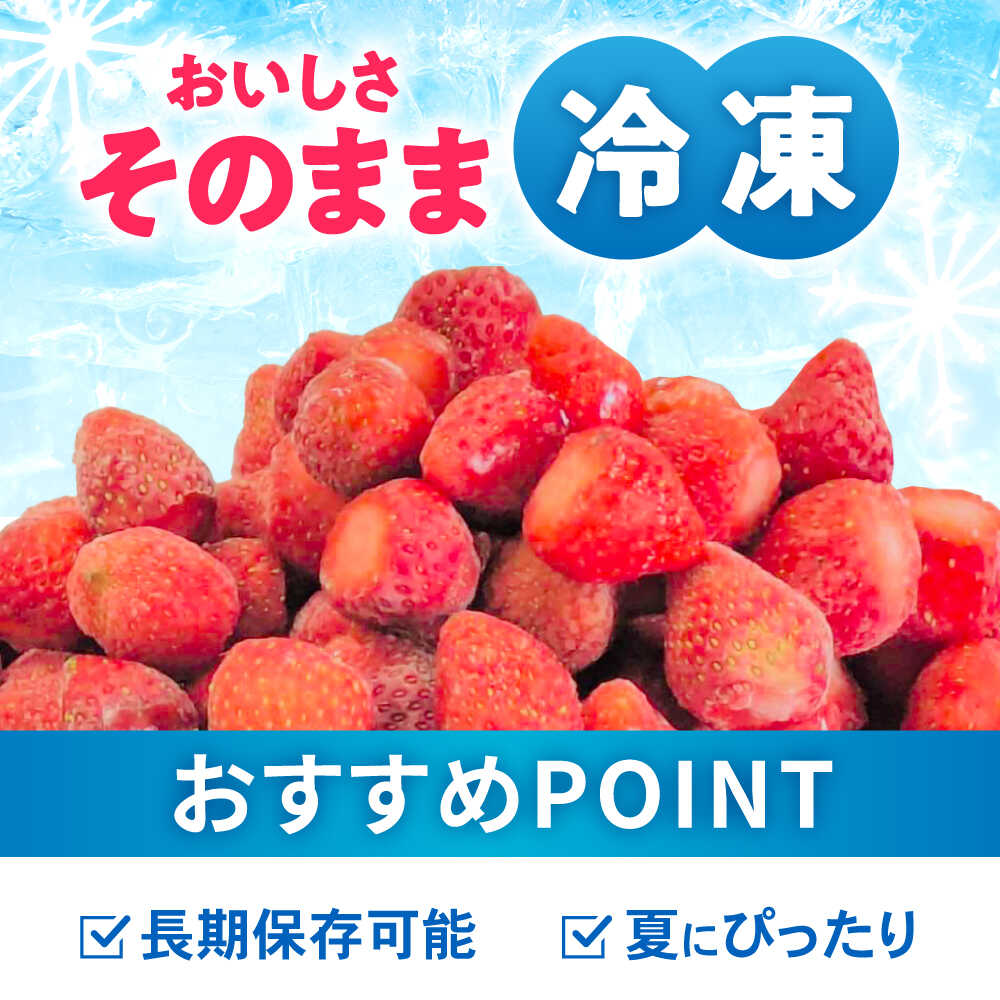 【ふるさと納税】【完熟の恵み、ぎゅっと冷凍！】冷凍いちご「ゆめのか」 Sサイズ 1.5kg(500g×3) / いちご イチゴ 苺 冷凍 冷凍いちご 冷凍フルーツ イチゴジャム / 諫早市 / むらたサービス[AHFA002] サムネイル3