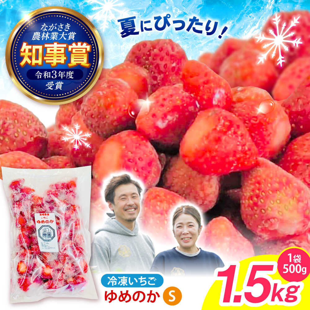 【完熟の恵み、ぎゅっと冷凍！】冷凍いちご「ゆめのか」 Sサイズ 1.5kg(500g×3) / いちご イチゴ 苺 冷凍 冷凍いちご 冷凍フルーツ イチゴジャム / 諫早市 / むらたサービス[AHFA002]
