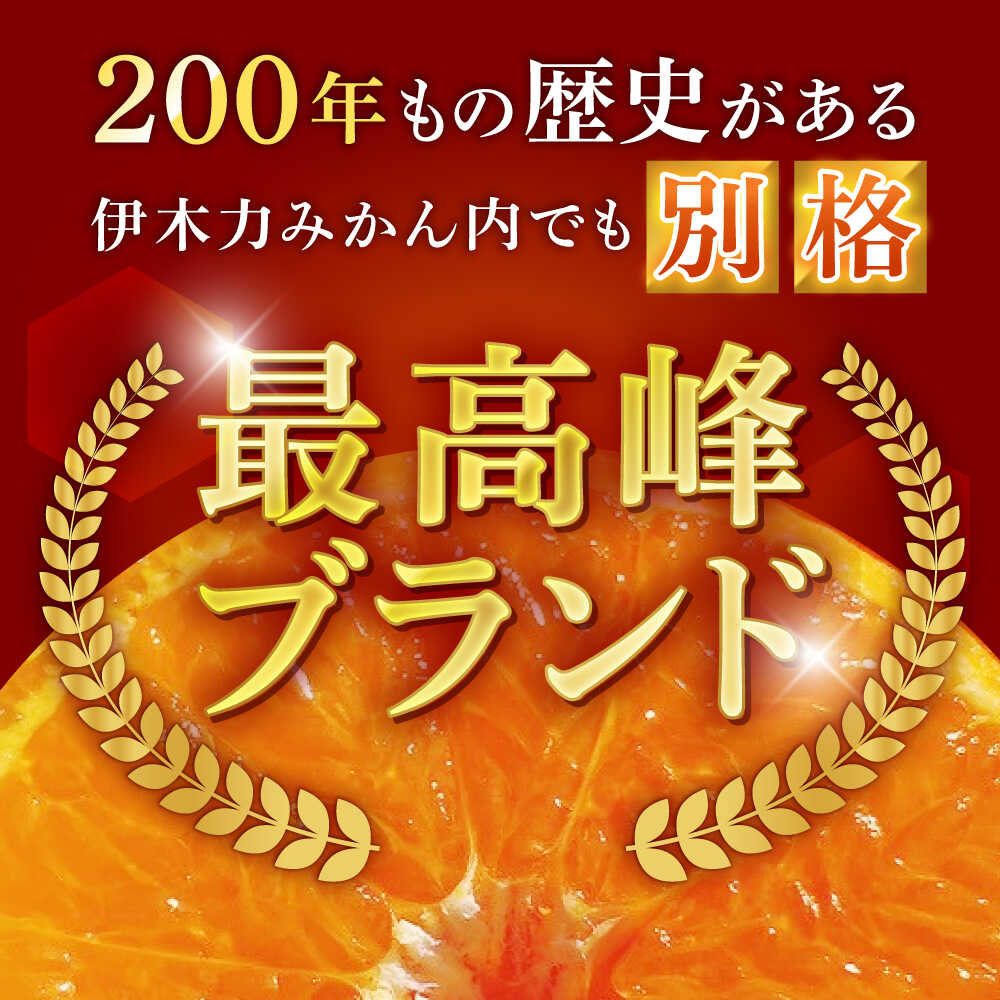 【ふるさと納税】早生みかん　10kg / 諫早市 /伊佐農園[AHFI012] サムネイル3
