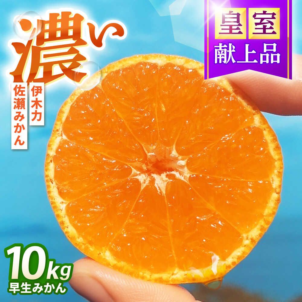 早生みかん　10kg / 諫早市 /伊佐農園[AHFI012]