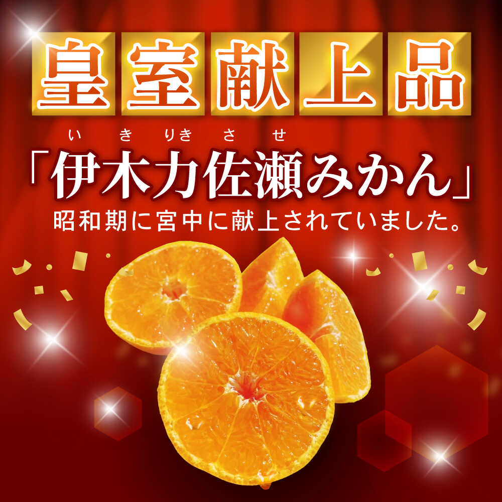 【ふるさと納税】青島みかん　10kg / 諫早市 /伊佐農園[AHFI014] サムネイル2