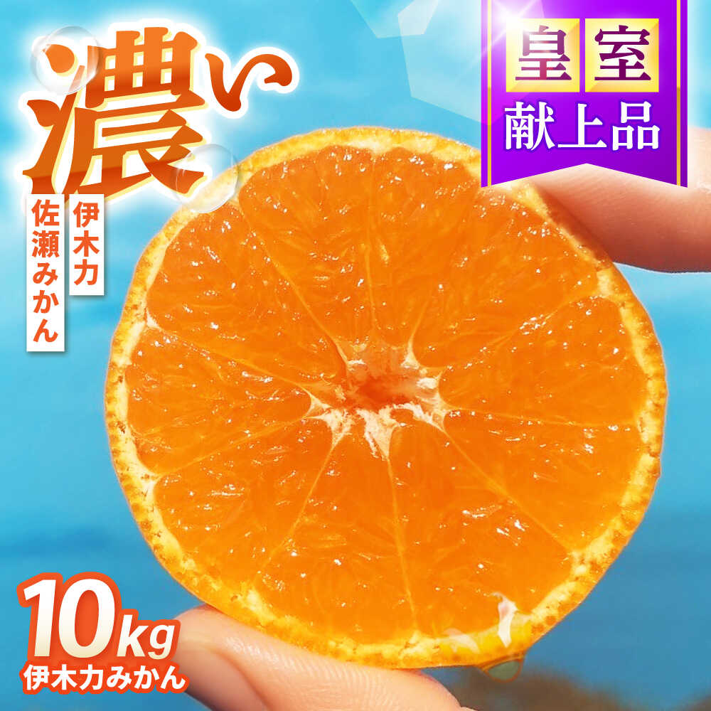 伊木力みかん　10kg / 諫早市 /伊佐農園[AHFI016]