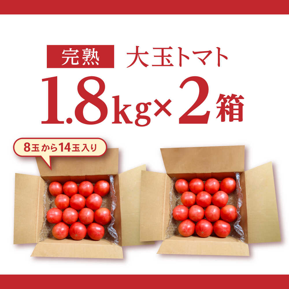 【ふるさと納税】完熟大玉トマト 3.6kg(1.8kg×2) / トマト とまと tomato トマトジュース 野菜 やさい サラダ 完熟 甘い / 諫早市 / 菜食美農園[AHFK001] - 画像2