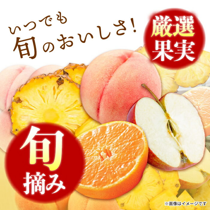 【ふるさと納税】たらみ PURE シリーズ / ゼリー フルーツゼリー 果実ゼリー 果物 フルーツ くだもの / 諫早市 / 株式会社たらみ [AHBR008] サムネイル2