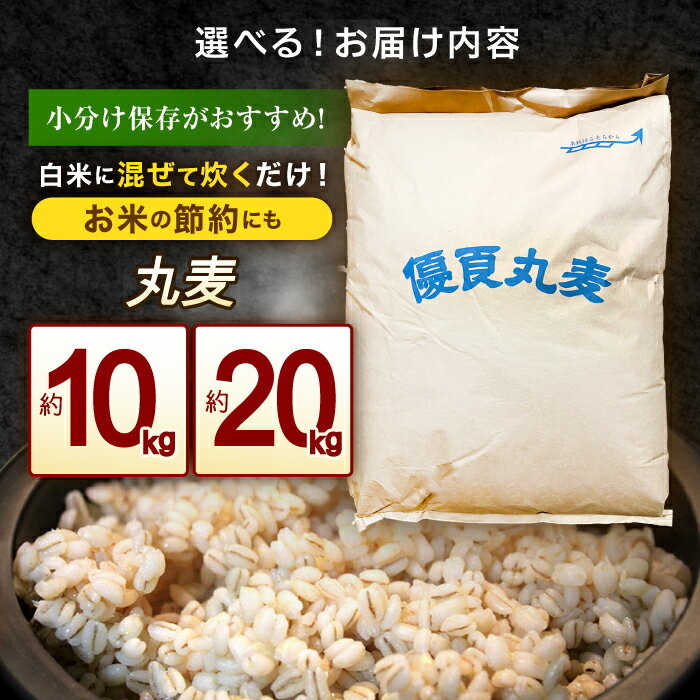 【ふるさと納税】【最速発送】長崎県産 丸麦 10~20kg / 麦 むぎ 雑穀 雑穀米 麦ごはん 麦飯 麦みそ 食物繊維 長崎県産 米 こめ コメ ※ / 諫早市 / 有限会社伊東精麦[AHBU005]スピード配送 発送 最速発送 すぐ発送 サムネイル2