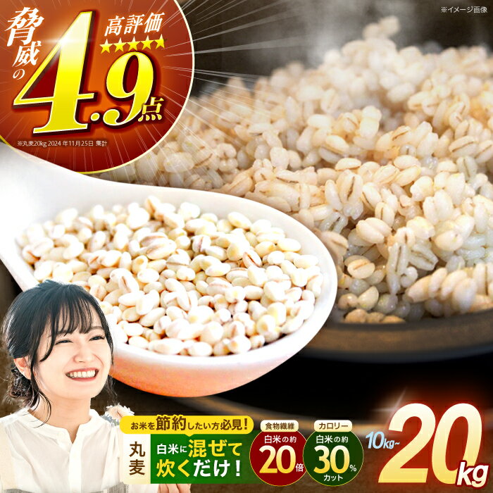【最速発送】長崎県産 丸麦 10~20kg / 麦 むぎ 雑穀 雑穀米 麦ごはん 麦飯 麦みそ 食物繊維 長崎県産 米 こめ コメ ※ / 諫早市 / 有限会社伊東精麦[AHBU005]スピード配送 発送 最速発送 すぐ発送