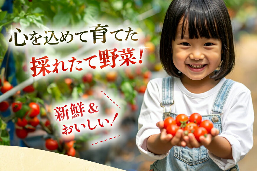 【ふるさと納税】野菜 果物 セット 安心の地元野菜と果物のお任せセット [ひらど新鮮市場 長崎県 平戸市 hr42bgy400171] フルーツ 野菜セット 果物セット キャベツ、アスパラガス 胡瓜 ナス 大根 かぶ ミニトマト 玉ねぎ いちご メロン ミニトマト 白菜 れんこん みかん - 画像2