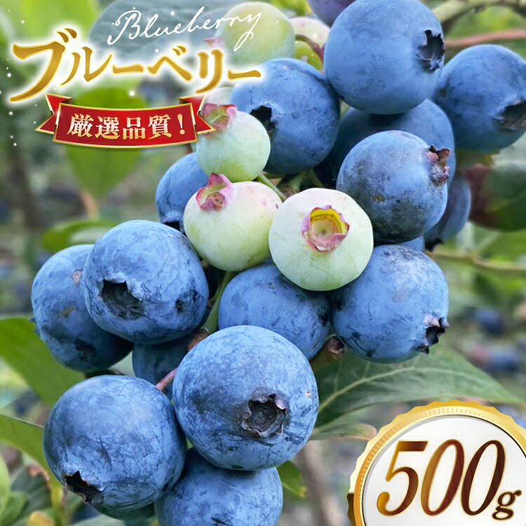 ブルーベリー 冷凍 250g 2パック 計 500g [いきつきブルーベリー園 moon berry's kitchen 長崎県 平戸市 hr42bhb500000] 完熟 デザート スイーツ スムージー 小分け