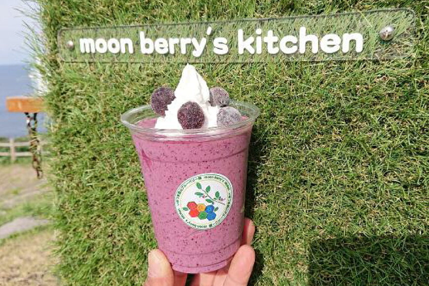 【ふるさと納税】ブルーベリー 冷凍 250g 2パック 計 500g [いきつきブルーベリー園 moon berry's kitchen 長崎県 平戸市 hr42bhb500000] 完熟 デザート スイーツ スムージー 小分け サムネイル2