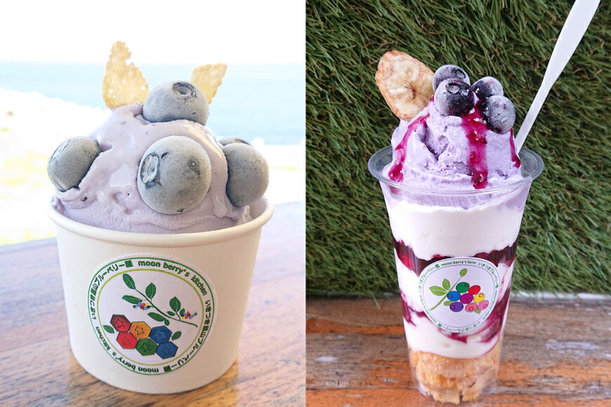 【ふるさと納税】ブルーベリー 冷凍 250g 2パック 計 500g [いきつきブルーベリー園 moon berry's kitchen 長崎県 平戸市 hr42bhb500000] 完熟 デザート スイーツ スムージー 小分け サムネイル3