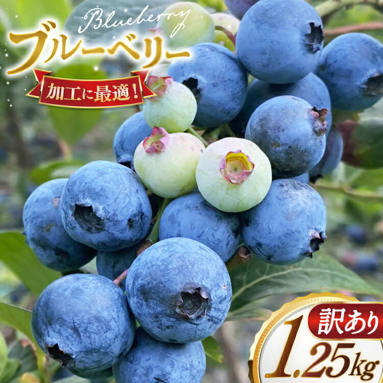 ブルーベリー 訳あり 冷凍 250g 5パック 計 1.25kg [いきつきブルーベリー園 moon berry's kitchen 長崎県 平戸市 hr42bhb500001] 完熟 デザート スイーツ スムージー 小分け 訳アリ