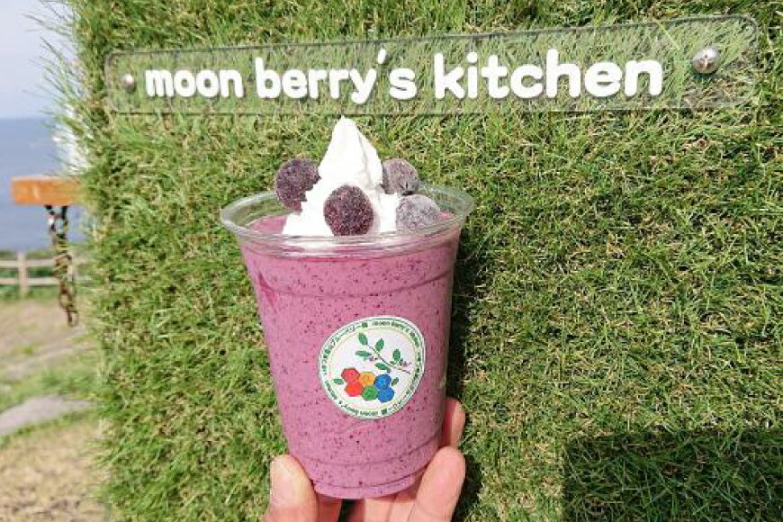 【ふるさと納税】ブルーベリー 訳あり 冷凍 250g 5パック 計 1.25kg [いきつきブルーベリー園 moon berry's kitchen 長崎県 平戸市 hr42bhb500001] 完熟 デザート スイーツ スムージー 小分け 訳アリ サムネイル2