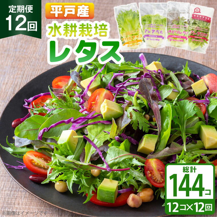 レタス 水耕栽培 4種 12袋 セット 12回 定期便 総計144袋 食べ比べ 詰め合わせ [モロフジファーム 長崎県 平戸市 hr42bgy420175] サラダ 産地直送 個包装 小分け 野菜 フレッシュ 健康志向 緑黄色野菜