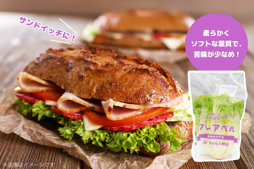 【ふるさと納税】レタス 水耕栽培 4種 12袋 セット 12回 定期便 総計144袋 食べ比べ 詰め合わせ [モロフジファーム 長崎県 平戸市 hr42bgy420175] サラダ 産地直送 個包装 小分け 野菜 フレッシュ 健康志向 緑黄色野菜 - 画像3