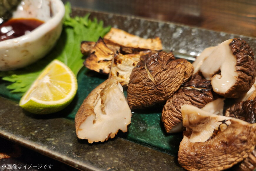 【ふるさと納税】きのこ しいたけ きくらげ 椎茸菌床 生椎茸 生きくらげ セット 6回 定期便 [きのこ屋 長崎県 平戸市 hr42bgy410155] 有機 有機JAS 有機栽培 有機きのこ 有機しいたけ 栽培キット 栽培セット ギフト セット - 画像2