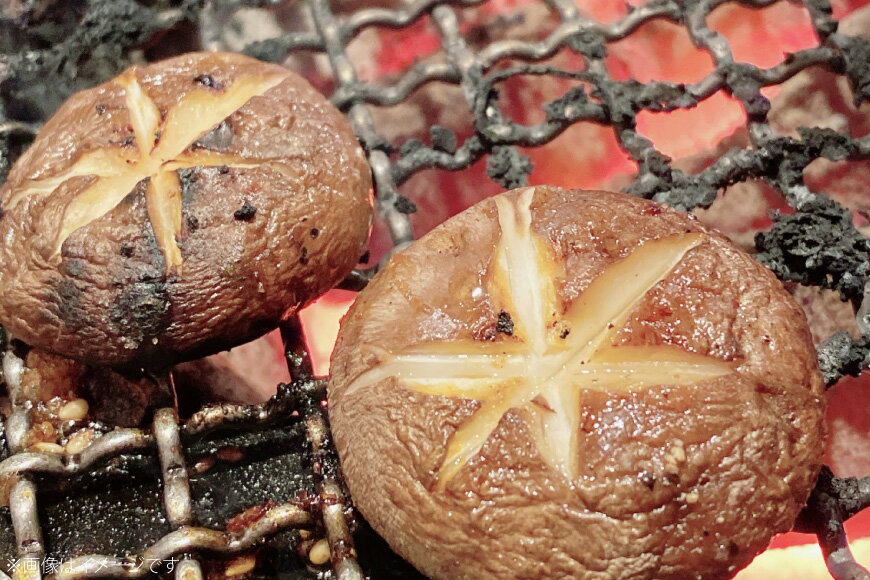 【ふるさと納税】きのこ しいたけ きくらげ 椎茸菌床 生椎茸 生きくらげ セット 6回 定期便 [きのこ屋 長崎県 平戸市 hr42bgy410155] 有機 有機JAS 有機栽培 有機きのこ 有機しいたけ 栽培キット 栽培セット ギフト セット - 画像3