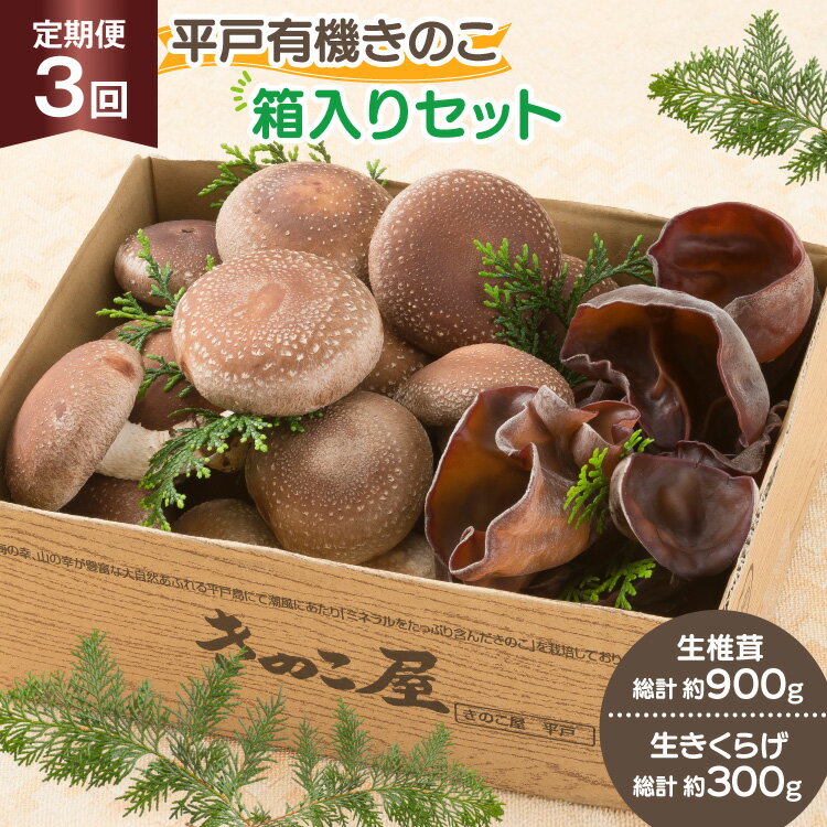 きのこ しいたけ きくらげ 生椎茸 生きくらげ 箱入りセット 3回 定期便 [きのこ屋 長崎県 平戸市 hr42bgy410164] 有機 有機JAS 有機栽培 有機きのこ 有機しいたけ 箱入り ギフト セット