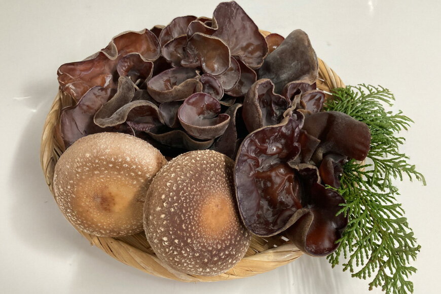 【ふるさと納税】きのこ しいたけ きくらげ 生椎茸 生きくらげ 箱入りセット 3回 定期便 [きのこ屋 長崎県 平戸市 hr42bgy410164] 有機 有機JAS 有機栽培 有機きのこ 有機しいたけ 箱入り ギフト セット - 画像2