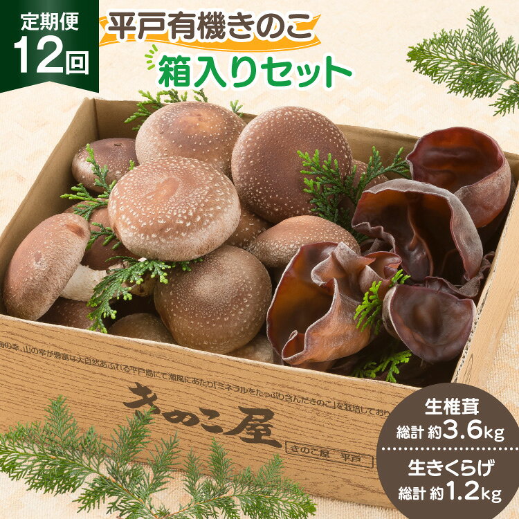 きのこ しいたけ きくらげ 生椎茸 生きくらげ 箱入りセット 12回 定期便 [きのこ屋 長崎県 平戸市 hr42bgy410166] 有機 有機JAS 有機栽培 有機きのこ 有機しいたけ 箱入り ギフト セット
