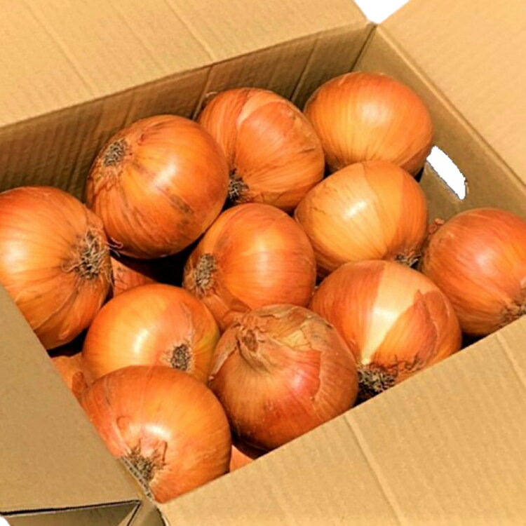野菜 玉ねぎ うまか 吊り 玉葱 約8kg 【期間限定発送】 [しげさん農園 長崎県 平戸市 hr42bgy420281] やさい タマネギ たまねぎ オニオン Lサイズ 2Lサイズ 赤土 甘い 新鮮 直送 料理 カレー