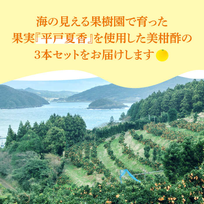 【ふるさと納税】【自家栽培の柑橘のみを使用】シトラスビネガー 美柑酢（みかんす）3本 セット【善果園】 [KAA361] サムネイル2