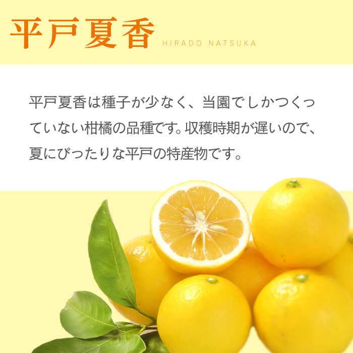【ふるさと納税】【自家栽培の柑橘のみを使用】シトラスビネガー 美柑酢（みかんす）3本 セット【善果園】 [KAA361] サムネイル3