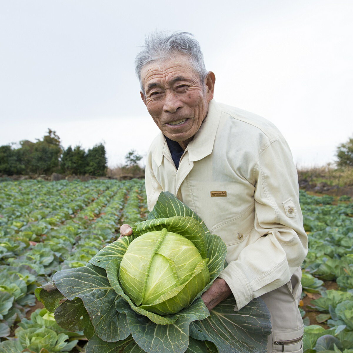 【ふるさと納税】＼父の日／道の駅松浦海のふるさと館『旬のお野菜＋産みたて濃厚玉子6個＋お米5kg』の大満足セット！【B7-039】 - 画像2