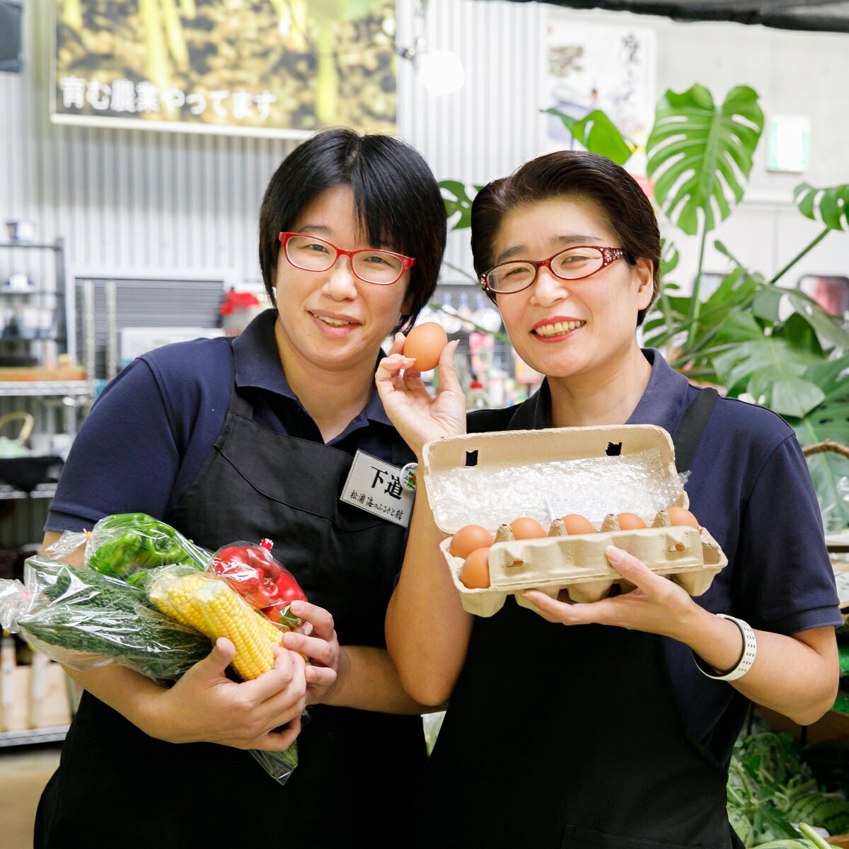 【ふるさと納税】＼父の日／道の駅松浦海のふるさと館『旬のお野菜＋産みたて濃厚玉子6個＋お米5kg』の大満足セット！【B7-039】 - 画像3
