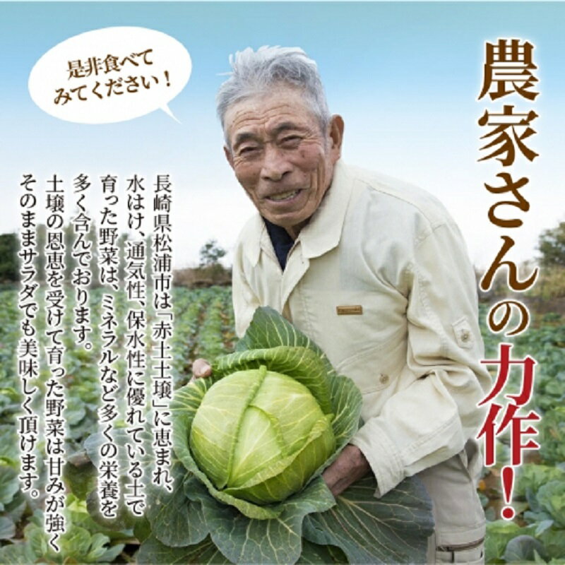 【ふるさと納税】＼父の日／道の駅松浦海のふるさと館『旬のお野菜＋お米5kg』の大満足セット！【B7-040】 - 画像2