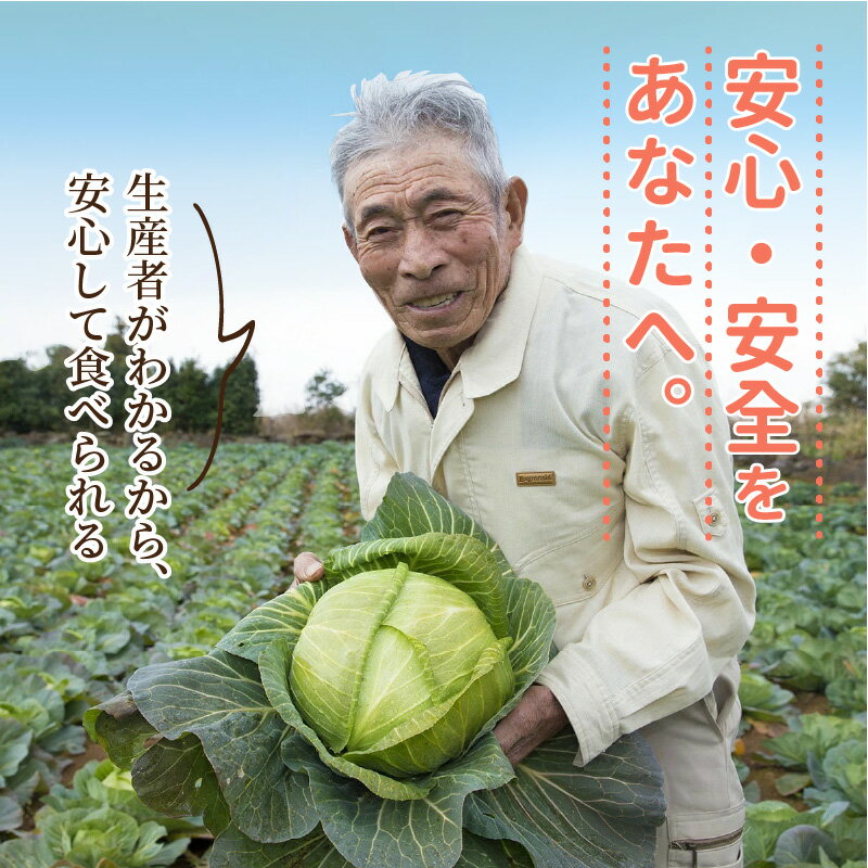 【ふるさと納税】道の駅松浦海のふるさと館『旬のお野菜』の大満足セット！【A8-040】 サムネイル2