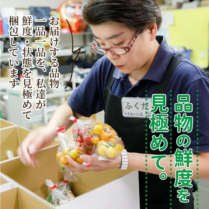 【ふるさと納税】道の駅松浦海のふるさと館『旬のお野菜』の大満足セット！【A8-040】 サムネイル3