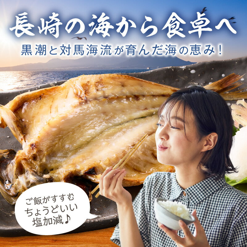 【ふるさと納税】松浦・潮風のたより 干物セット 6〜30枚 魚 干物 干し物 セット 干物セット アジ サバ カマス イカ あご 一夜干し 冷凍 海鮮 松浦 おつまみ 詰め合わせ ギフト 冷凍 晩ごはん 贈り物 ふるさと納税 松浦市 送料無料 魚介 魚貝 開き 人気 - 画像2