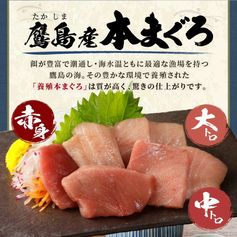 【ふるさと納税】《 内容量＆発送月が選べる 》楽天限定！鷹島本まぐろ　食べ切りサイズ 80g 2P～8P 選べる 内容量 ふるさと納税 マグロ ふるさと納税 海鮮 ふるさと納税 人気 本まぐろ 鮪 まぐろ 大トロ 中トロ 赤身 海鮮丼 国産 サムネイル3