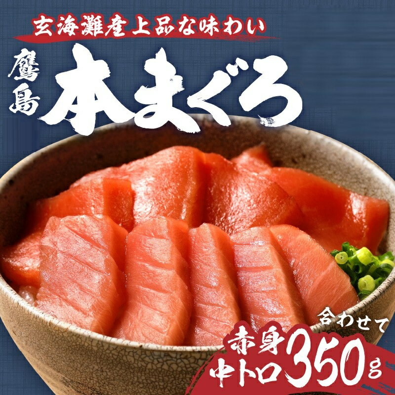 【ふるさと納税】《 発送月が選べる 》鷹島本まぐろ柵(赤身・中トロ) 合わせて350g【B4-127】 サムネイル2