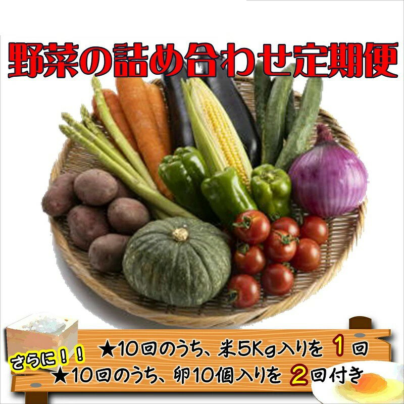 【ふるさと納税】米5kgと卵20個付き！野菜の詰め合わせ定期便10回 (上旬) (中旬)【定期便】 - 画像2