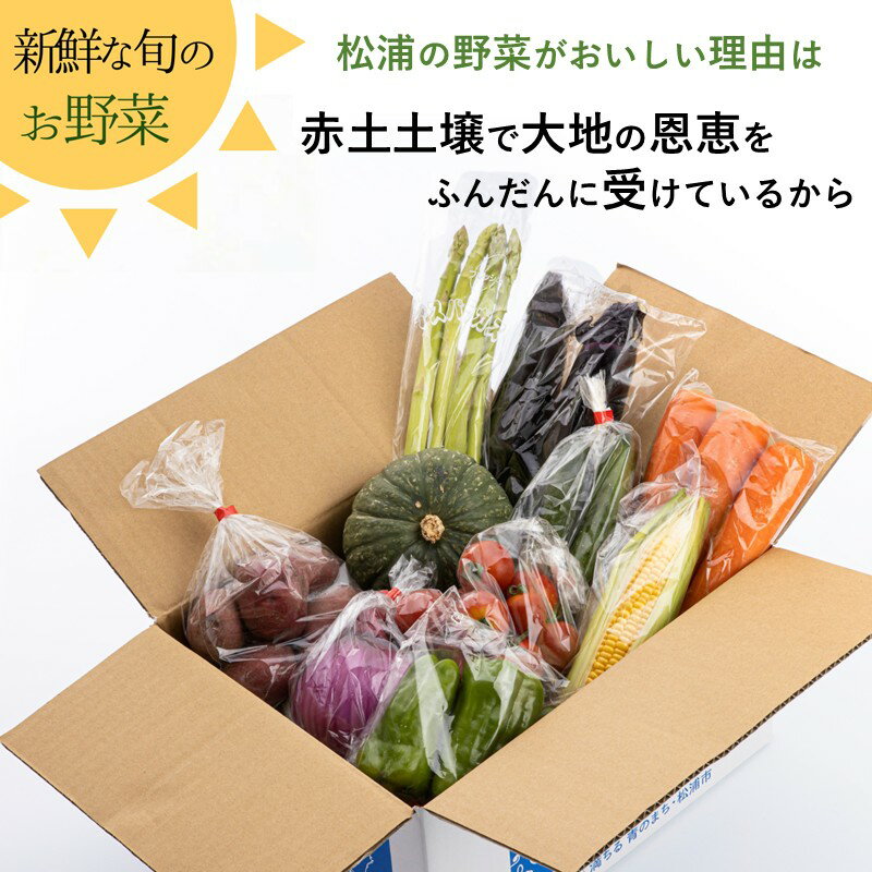 【ふるさと納税】米5kgと卵20個付き！野菜の詰め合わせ定期便10回 (上旬) (中旬)【定期便】 - 画像3