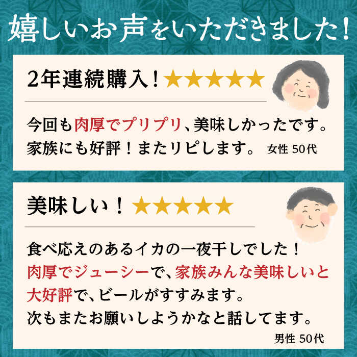 【ふるさと納税】するめ いか 一夜干し セット《対馬市》【対馬地域商社】九州 長崎 海鮮 [WAC006] サムネイル2