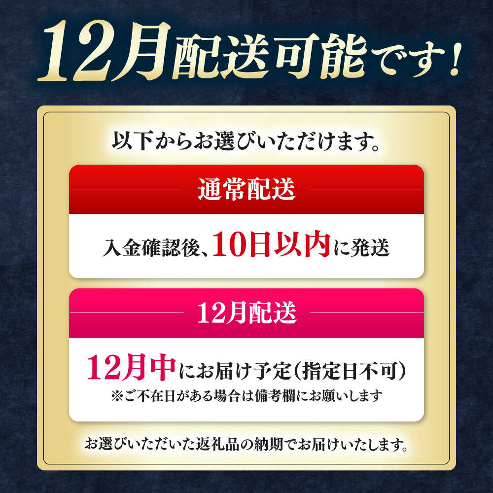 【ふるさと納税】【12月配送可能】対馬産 本マグロ 4種 計1kg ( 赤身 / 中トロ / 大トロ / ネギトロ )《対馬市》【対海】 [WAH004] 冷凍 マグロ まぐろ 中トロ 鮪 本マグロ 赤身 ネギトロ 海鮮 大トロ 冷凍 サムネイル2