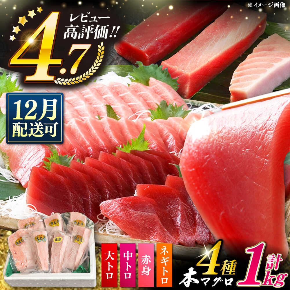 【12月配送可能】対馬産 本マグロ 4種 計1kg ( 赤身 / 中トロ / 大トロ / ネギトロ )《対馬市》【対海】 [WAH004] 冷凍 マグロ まぐろ 中トロ 鮪 本マグロ 赤身 ネギトロ 海鮮 大トロ 冷凍