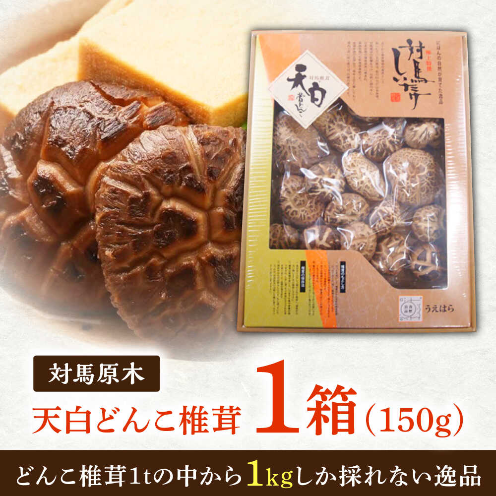 【ふるさと納税】対馬 原木 天白どんこ椎茸 1箱（150g）《対馬市》【うえはら株式会社】 対馬産 肉厚 しいたけ 乾燥 きのこ[WAI119] - 画像2