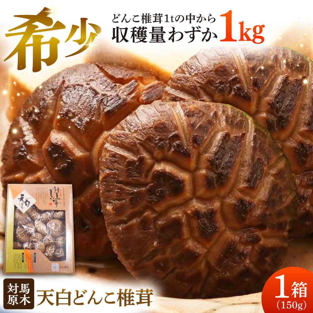 対馬 原木 天白どんこ椎茸 1箱（150g）《対馬市》【うえはら株式会社】 対馬産 肉厚 しいたけ 乾燥 きのこ[WAI119]