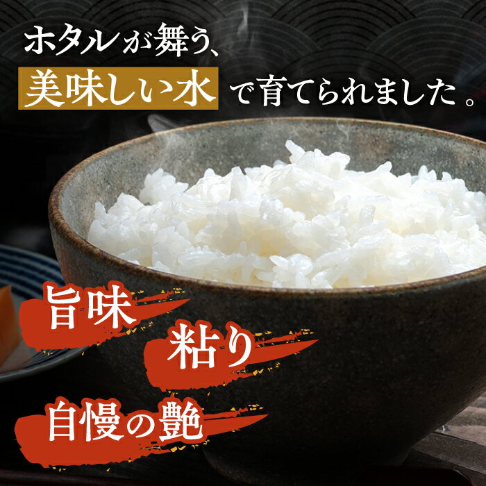 【ふるさと納税】【R7年産_新米予約】にこまる 5kg×2「ほたる舞う三根川の米」《対馬市》【永留しいたけ農園】 米 お米 ご飯 ごはん 白米 10kg 10キロ 産地直送 ランキング 送料無料 贈答用 特A 新米 [WAJ001] サムネイル3