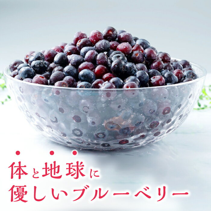 【ふるさと納税】大容量 ブルーベリー 1.2kg 冷凍 【 さほの里ファーム 】《 対馬市 》 離島 対馬 有機肥料 旬 果物 フルーツ [WBG001] サムネイル3
