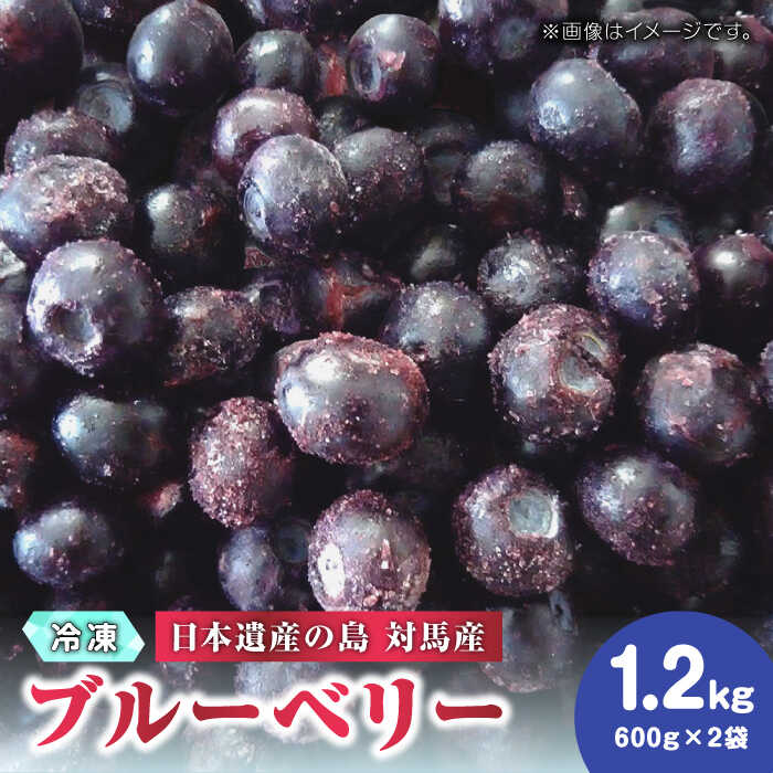 大容量 ブルーベリー 1.2kg 冷凍 【 さほの里ファーム 】《 対馬市 》 離島 対馬 有機肥料 旬 果物 フルーツ [WBG001]