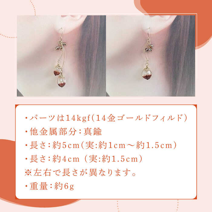 【ふるさと納税】どんぐり 耳飾り （ ピアス ・ イヤリング 選択可能）【合同会社かもめ】《対馬市》ジュエリー フック おしゃれ アクセサリー プレゼント [WBP001] サムネイル3