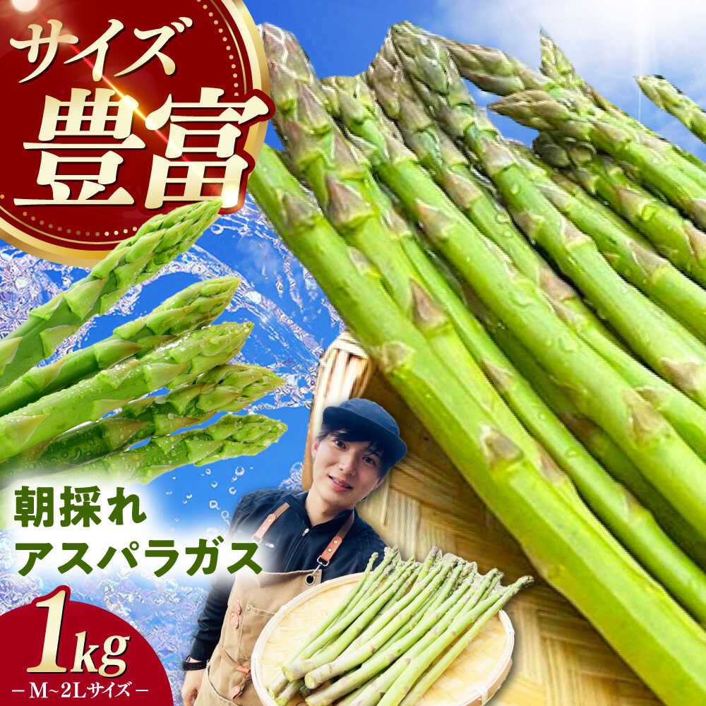 【3月中旬以降順次発送】朝採れアスパラガス1kg 《対馬市》 【農家くんのアスパラファーム】 冷蔵 アスパラ とれたて 新鮮 野菜 産地直送 [WCT001]