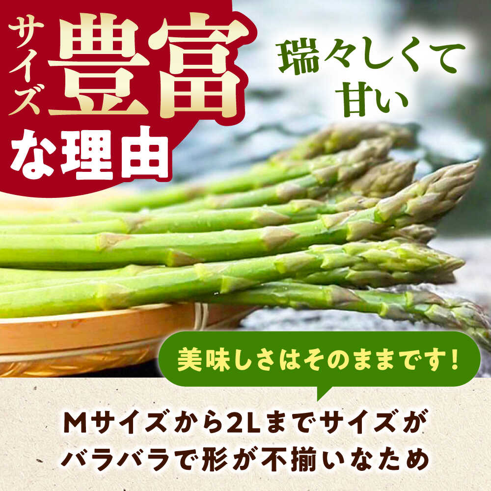 【ふるさと納税】【3月中旬以降順次発送】朝採れアスパラガス2kg 《対馬市》【農家くんのアスパラファーム】 冷蔵 アスパラ とれたて 新鮮 野菜 産地直送 [WCT002] - 画像2