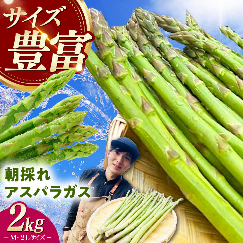 【3月中旬以降順次発送】朝採れアスパラガス2kg 《対馬市》【農家くんのアスパラファーム】 冷蔵 アスパラ とれたて 新鮮 野菜 産地直送 [WCT002]
