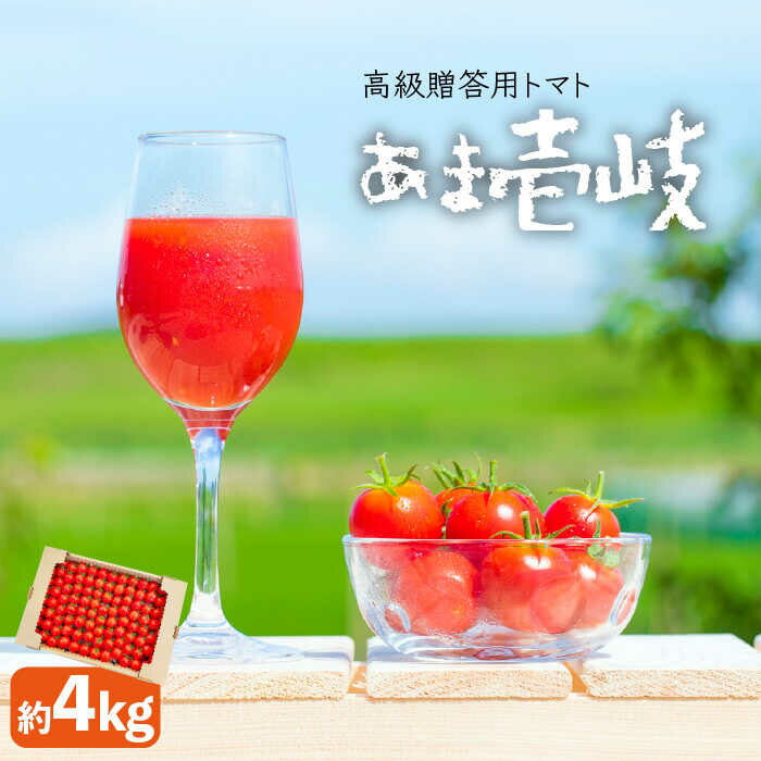 高級贈答用 トマト「あま壱岐」約 4kg [JAE005] とまと 野菜 果物 フルーツ 甘い 美容 健康 おやつ サラダ 壱岐 長崎 28000 28000円 のし プレゼント ギフト